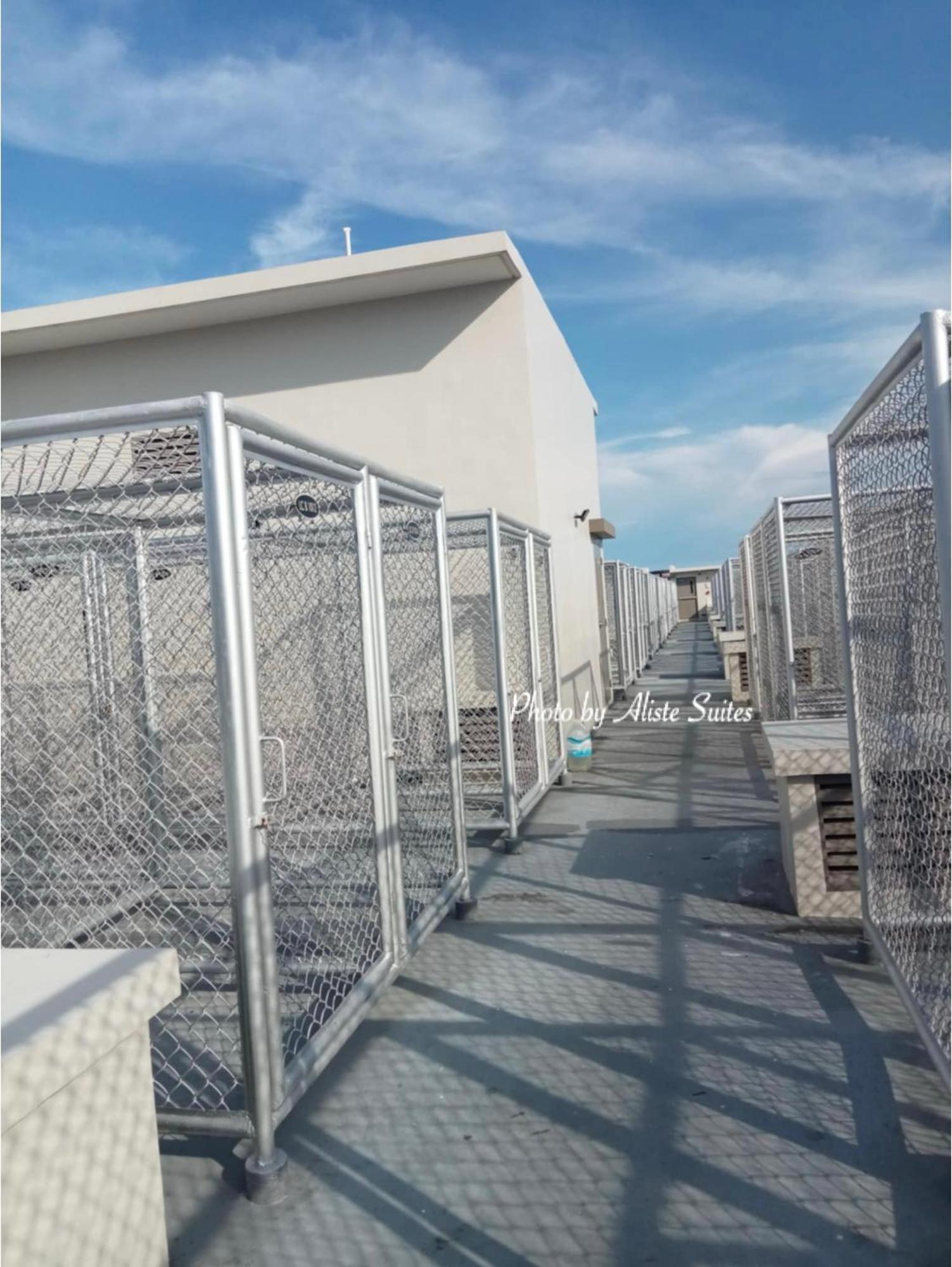 Aliste Suites Marina Spatial 杜马格特 外观 照片